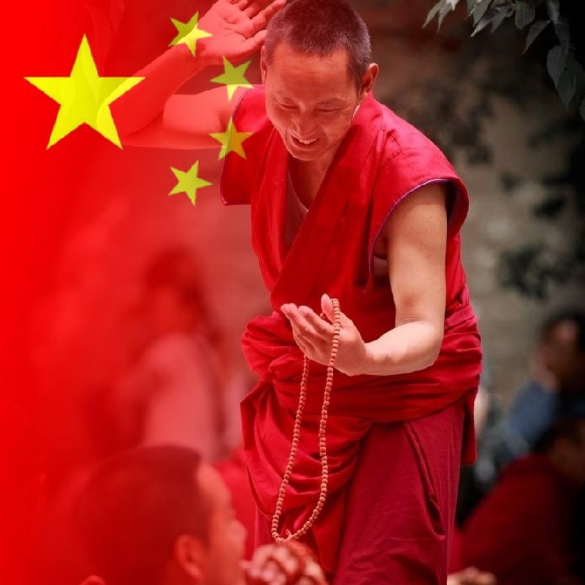 哈喽