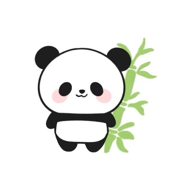 熊了个猫🐼