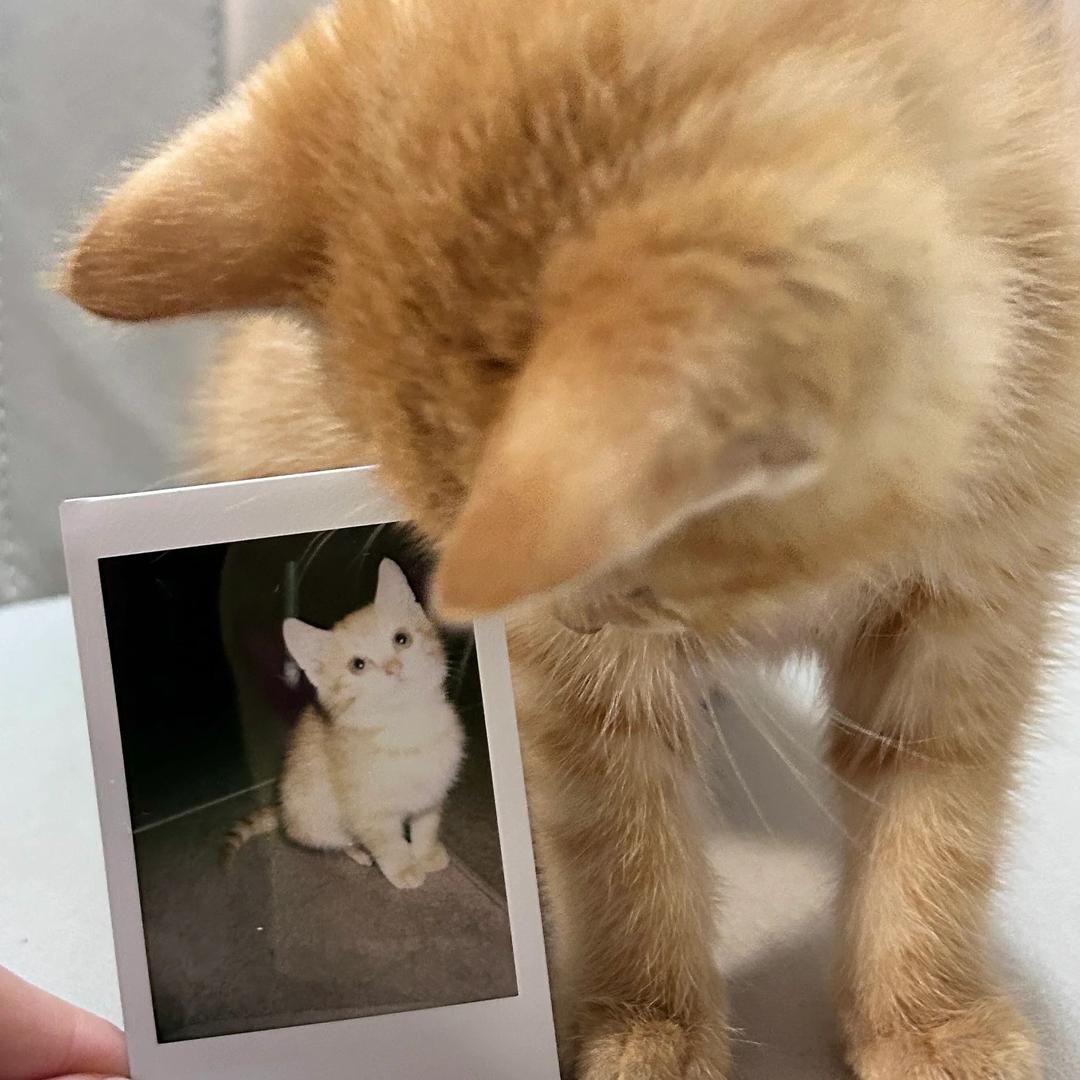 际舍