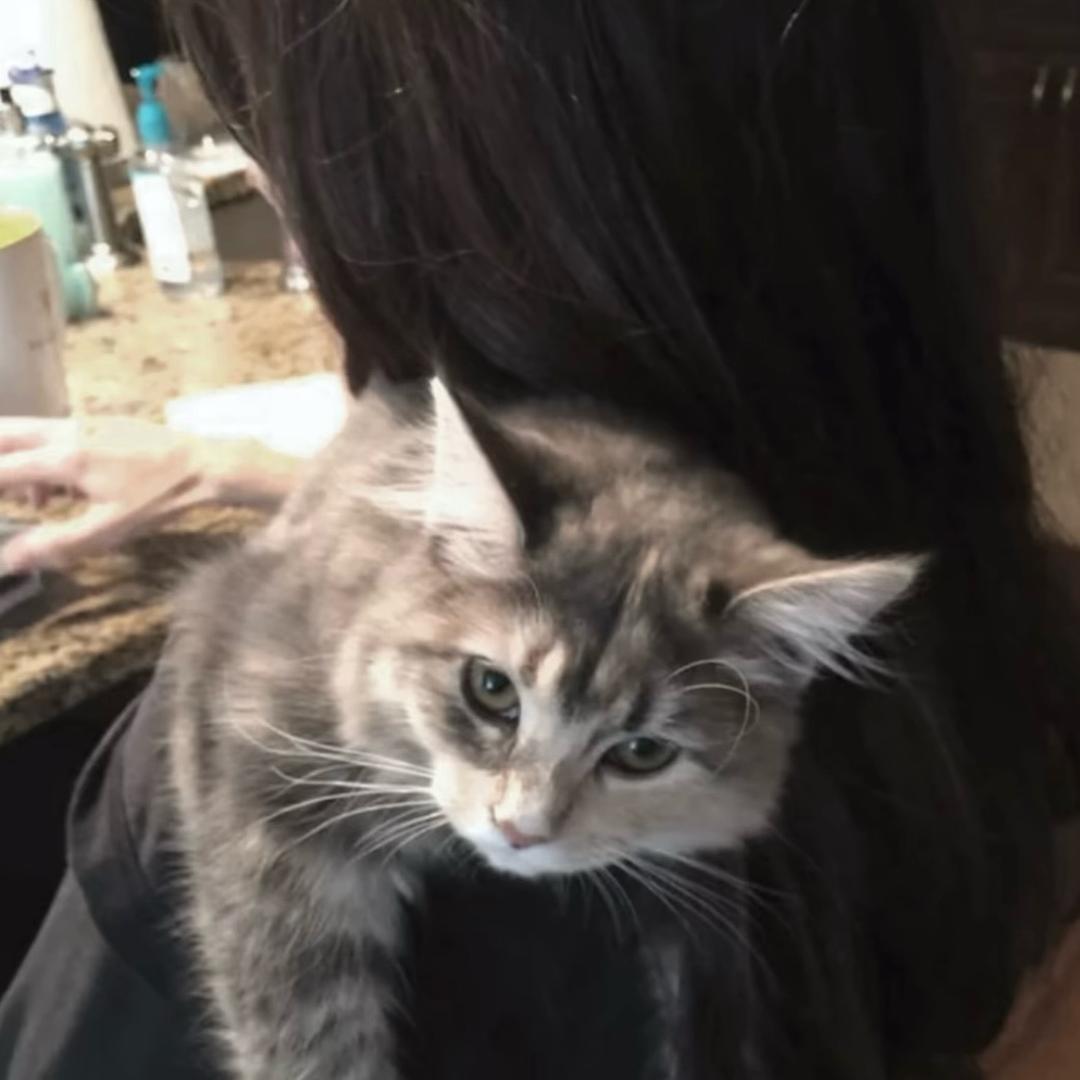 滚滚滚滚滚滚滚滚滚滚