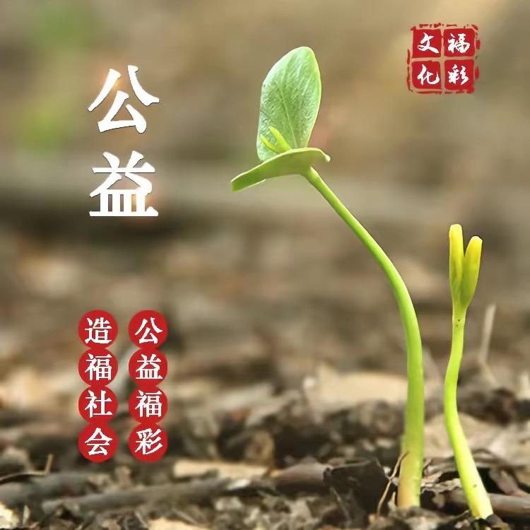 表哥.