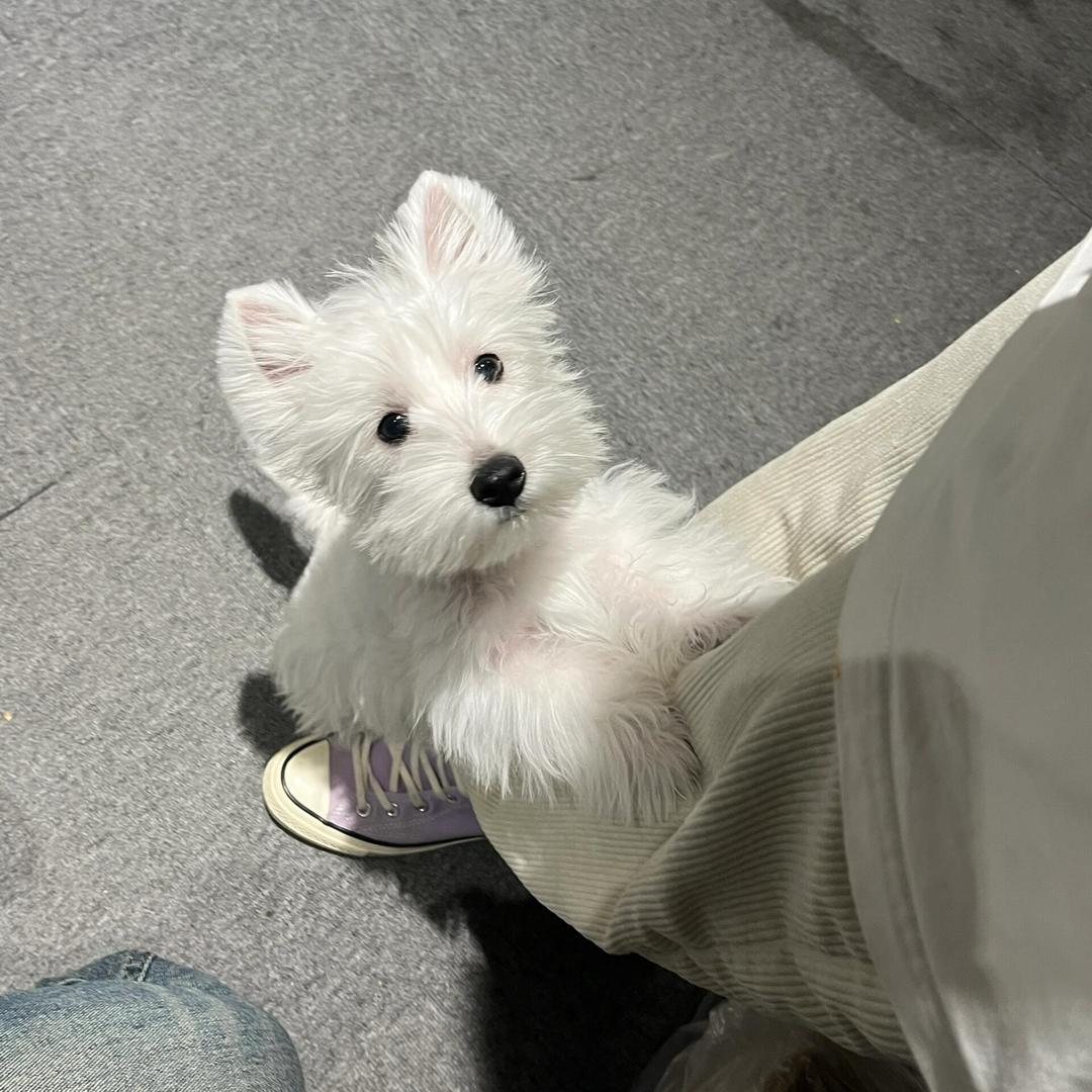 满意