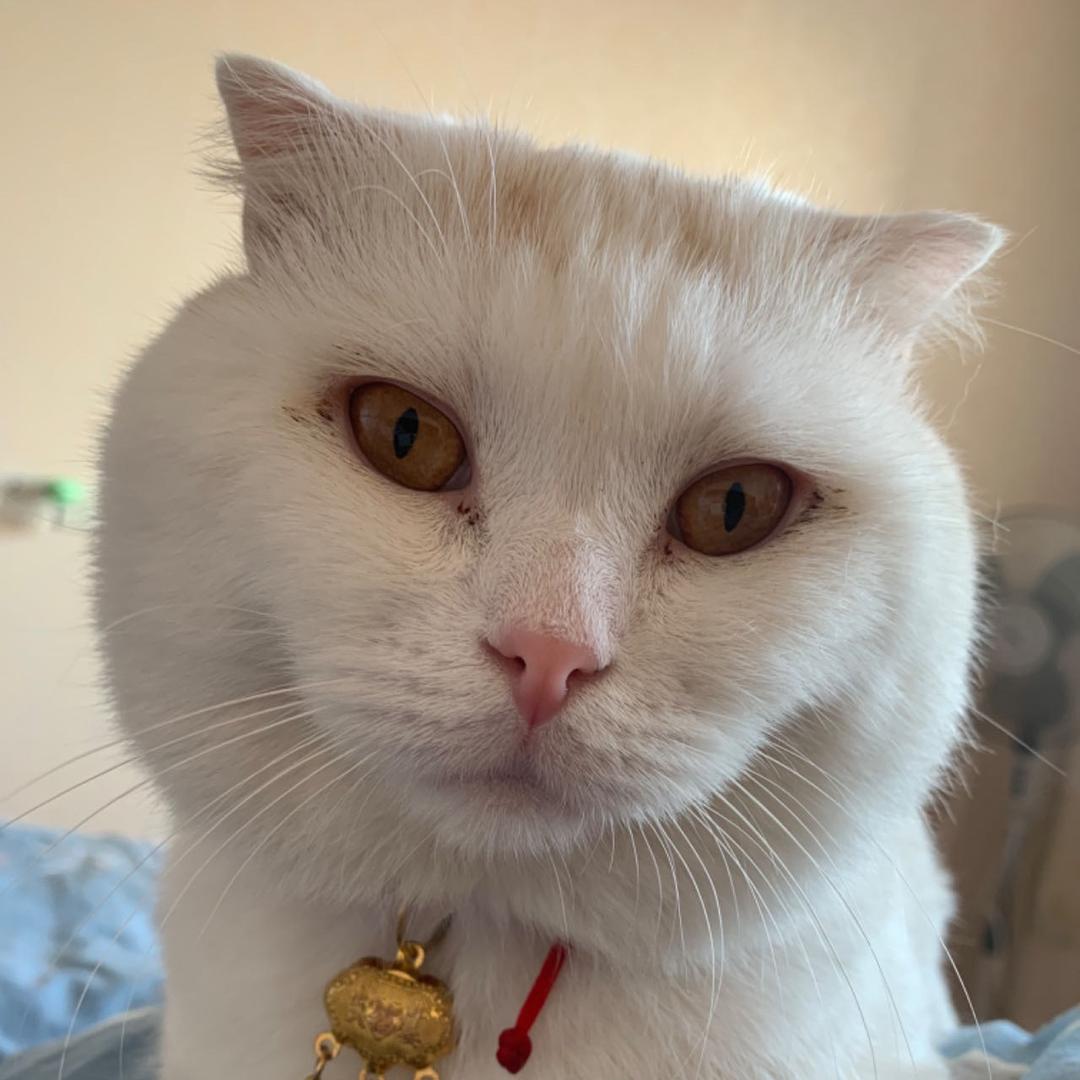 星星的星，相遇的遇！