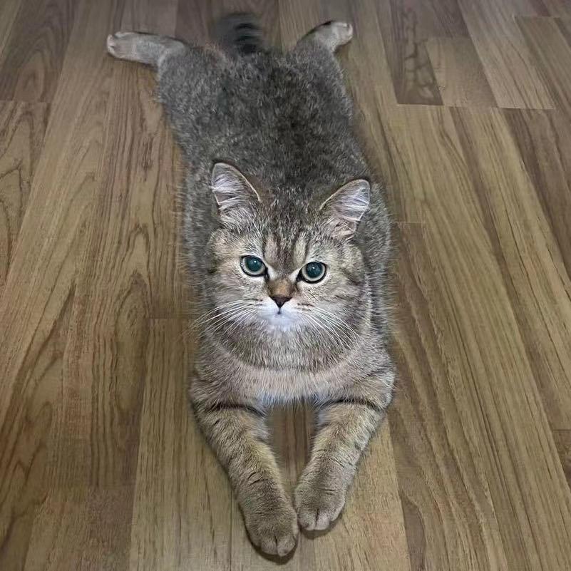 王前程.