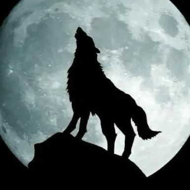 独狼户外热成像