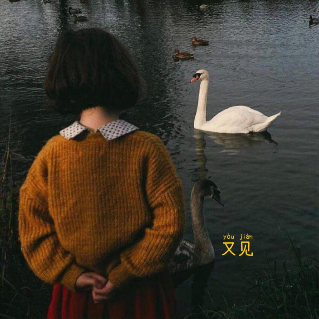 又见