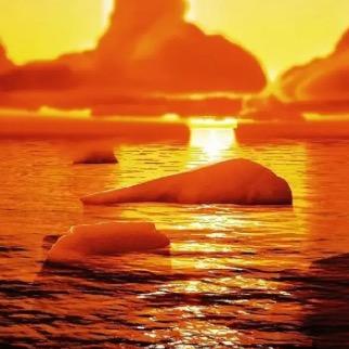 凌晨一点的猫咪