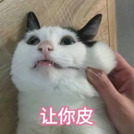 用户枫叶