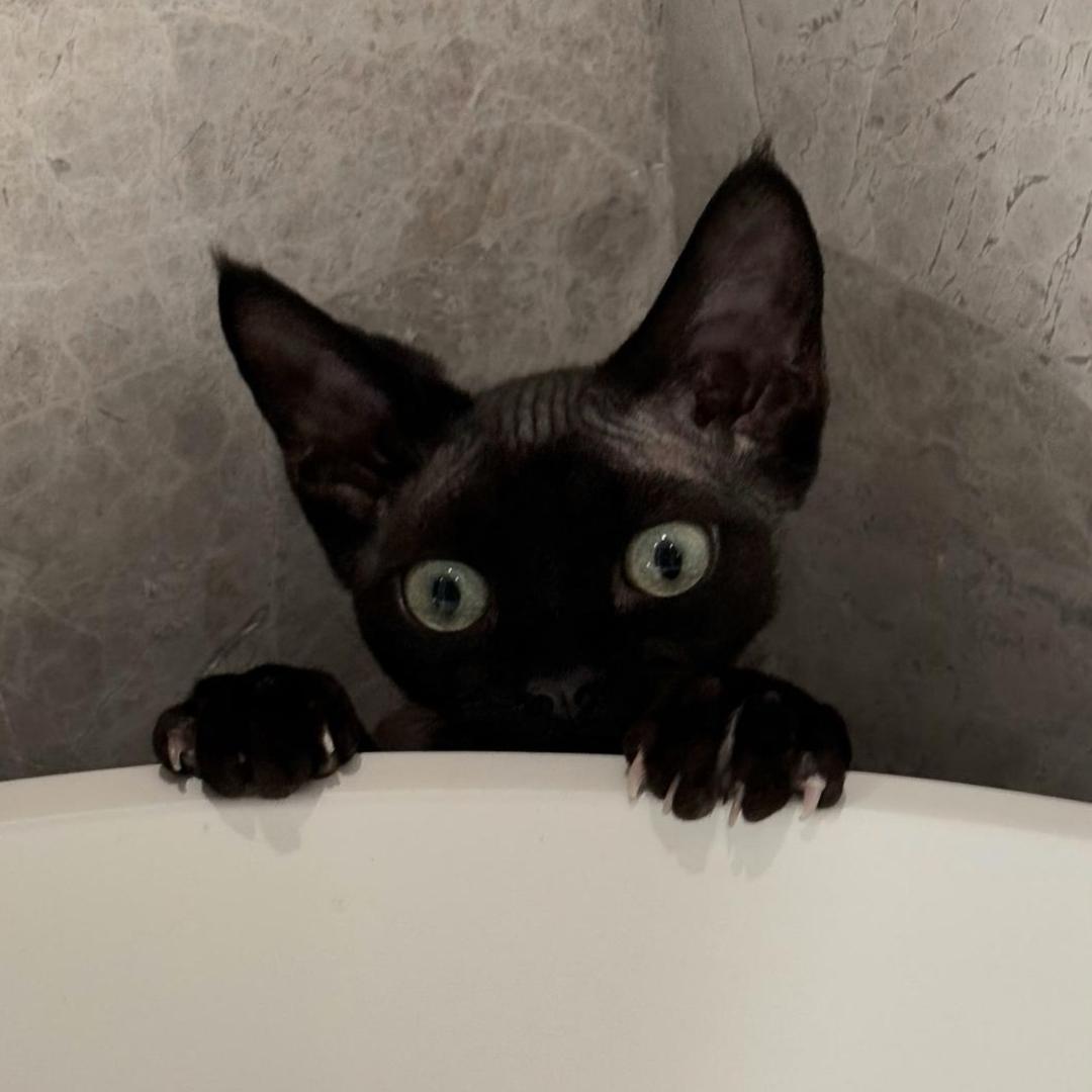 77777777