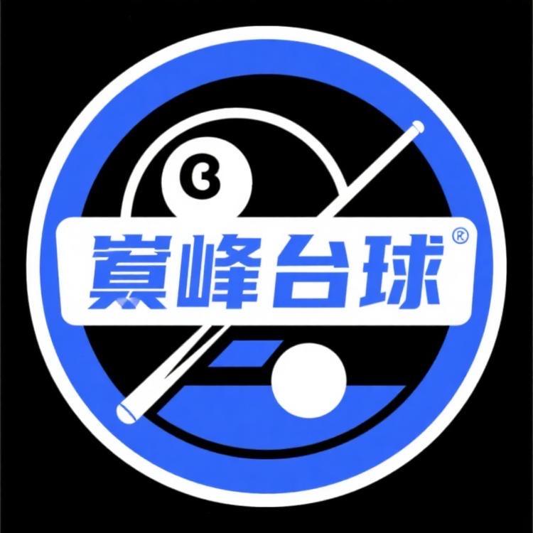 老杨巅峰台球器材店