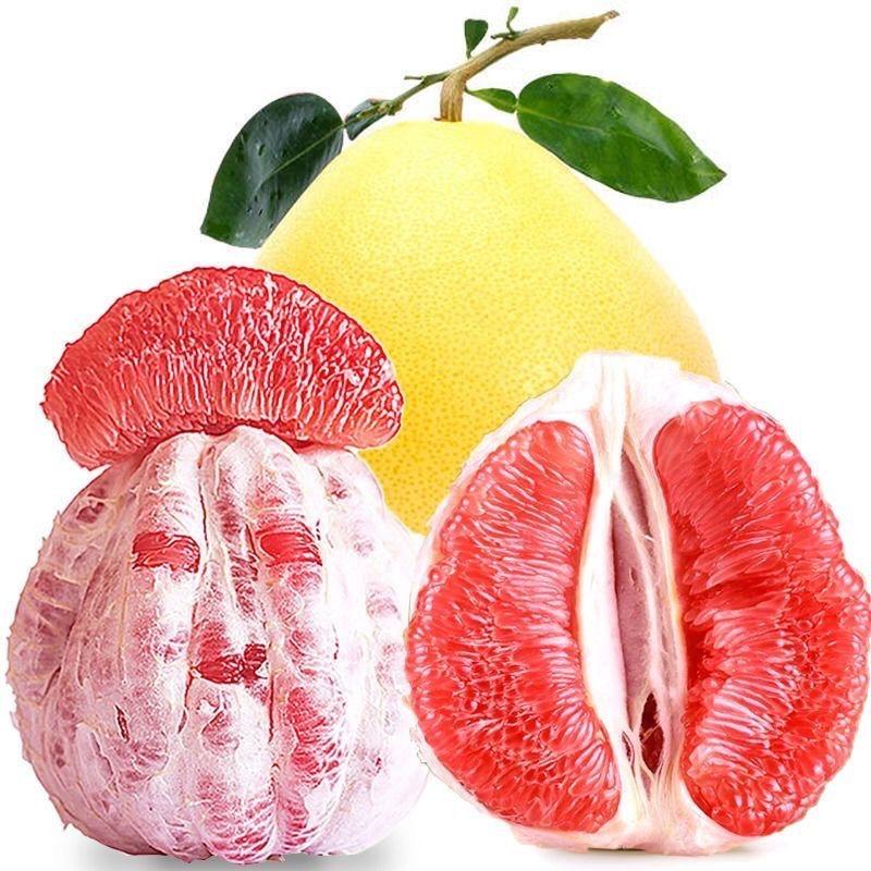 小六爱吃水果