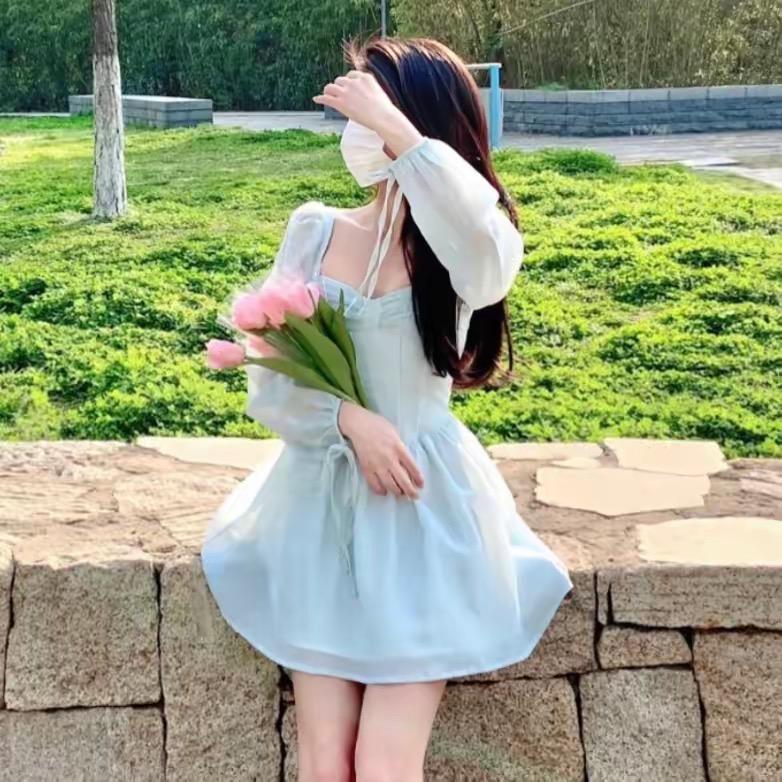 小洋芋芋
