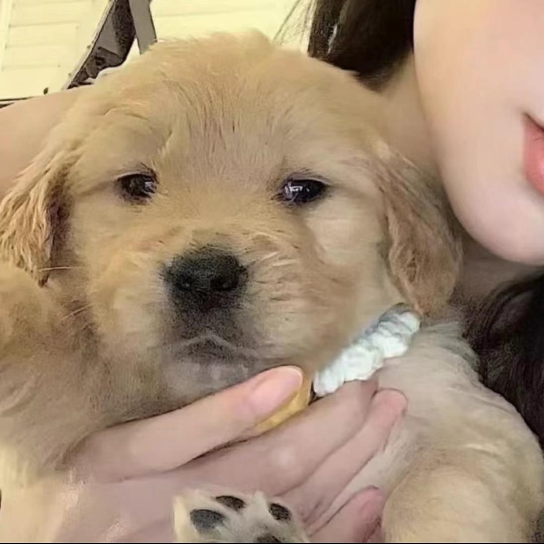 LiIIIII