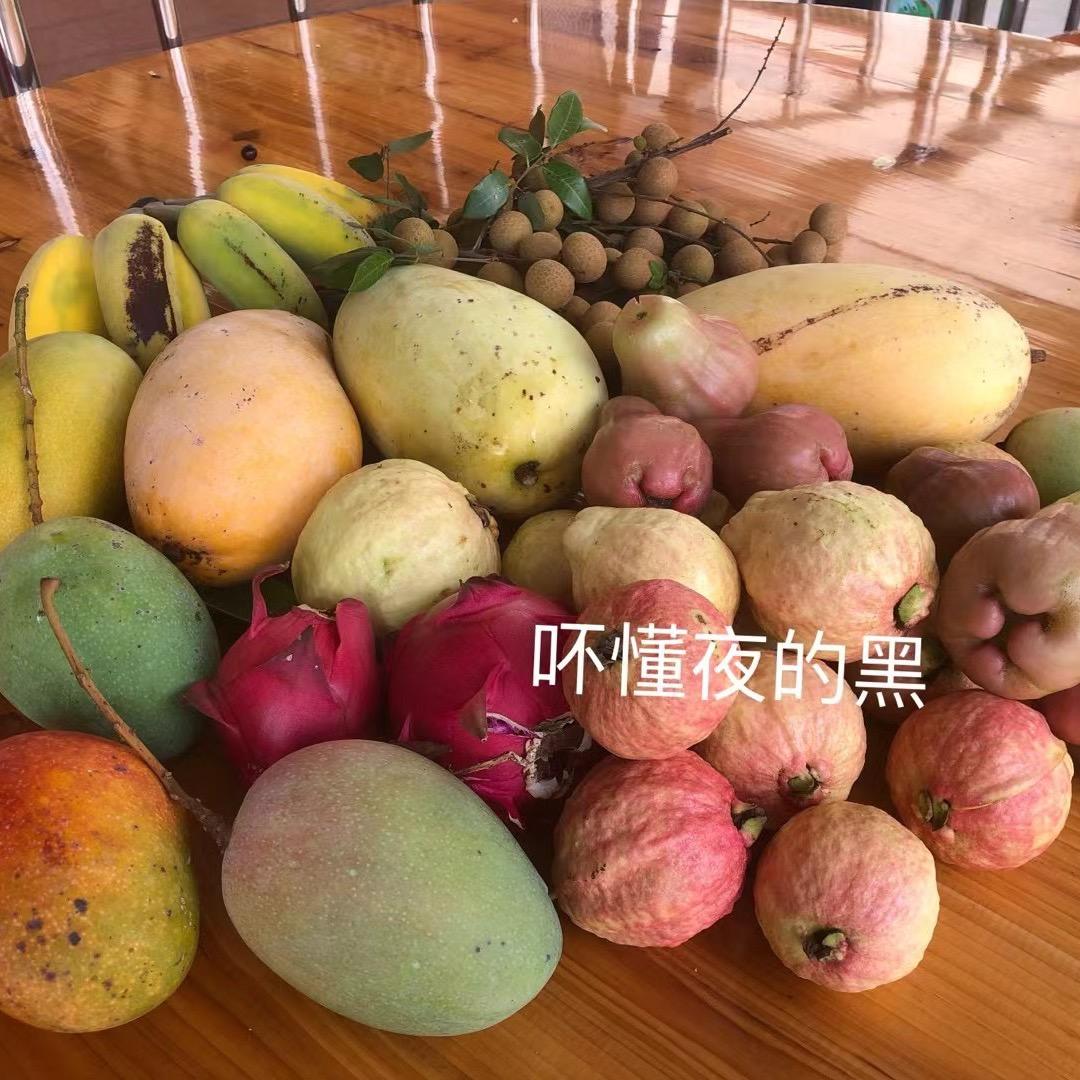 吥懂夜的黑