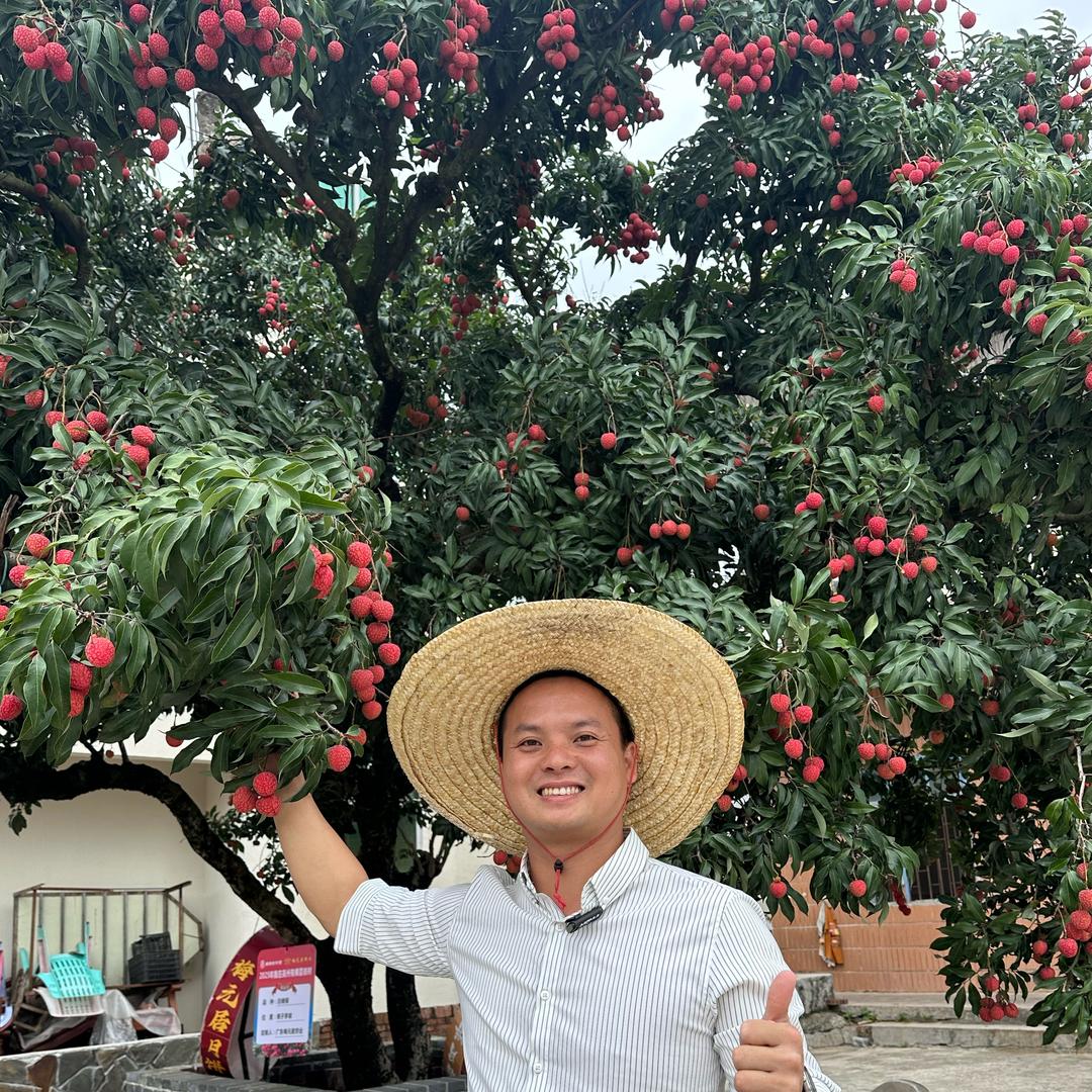 橙哥走乡村 采摘