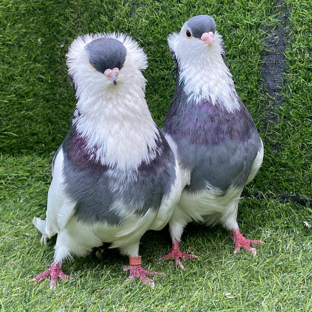 dyixmnuuey