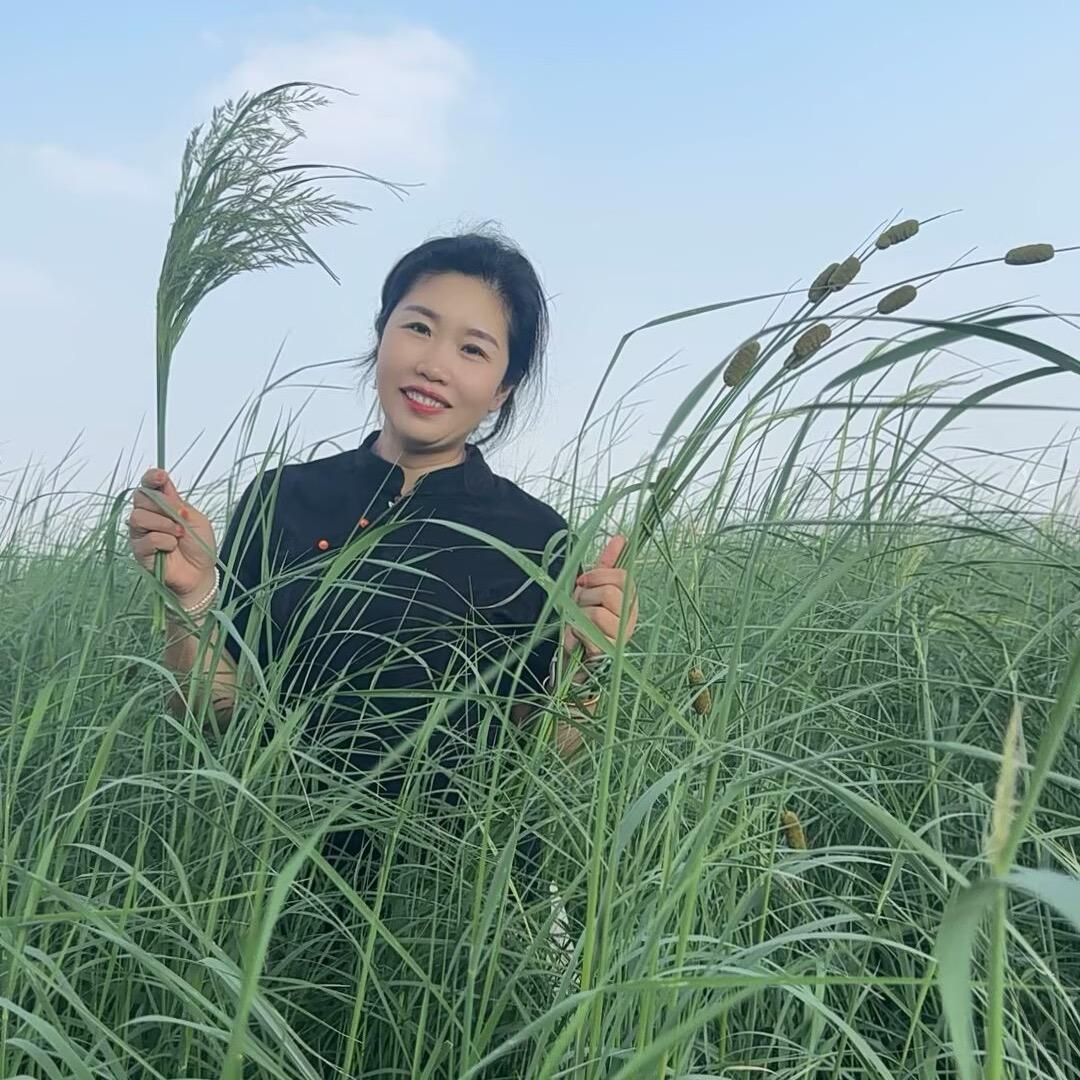 冷姐逛武陟