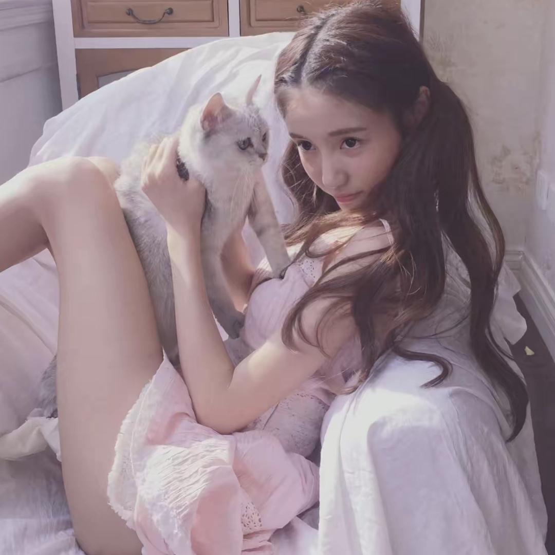 在下猫猫神