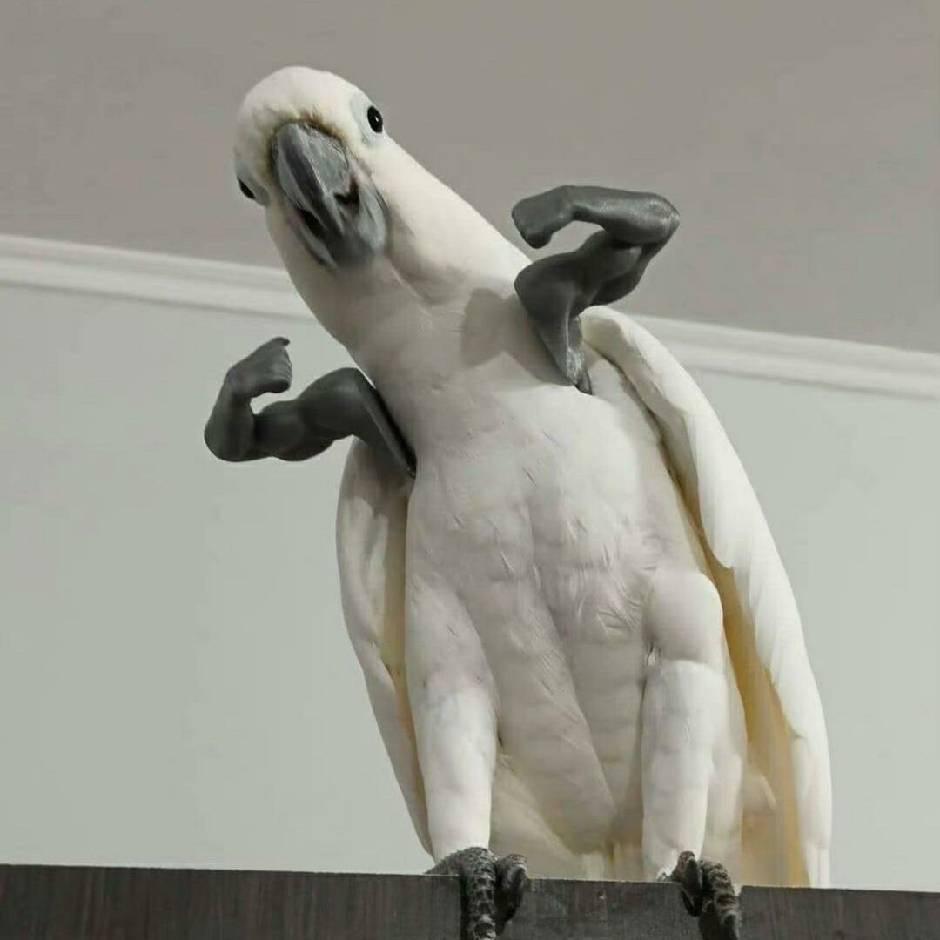 绿意盎然的小岛