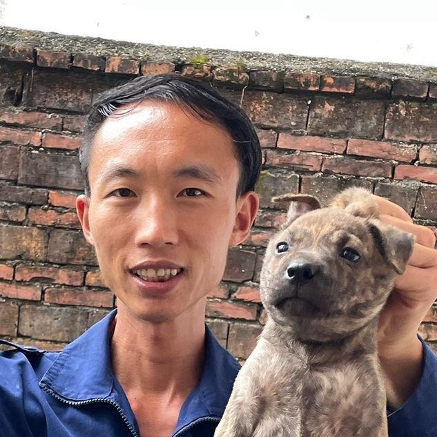 红平（养🐶经验分享）