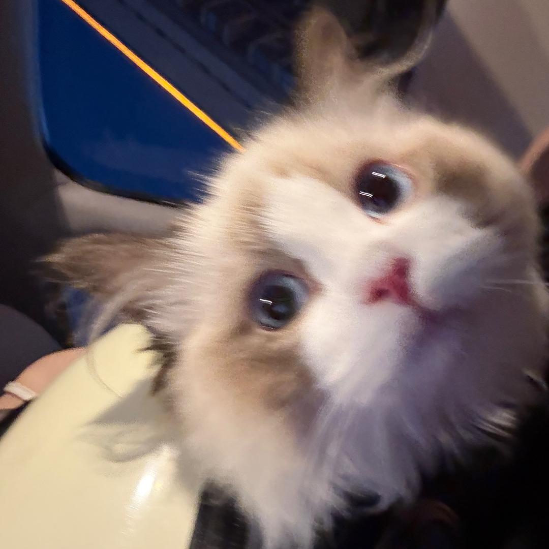 Ssss