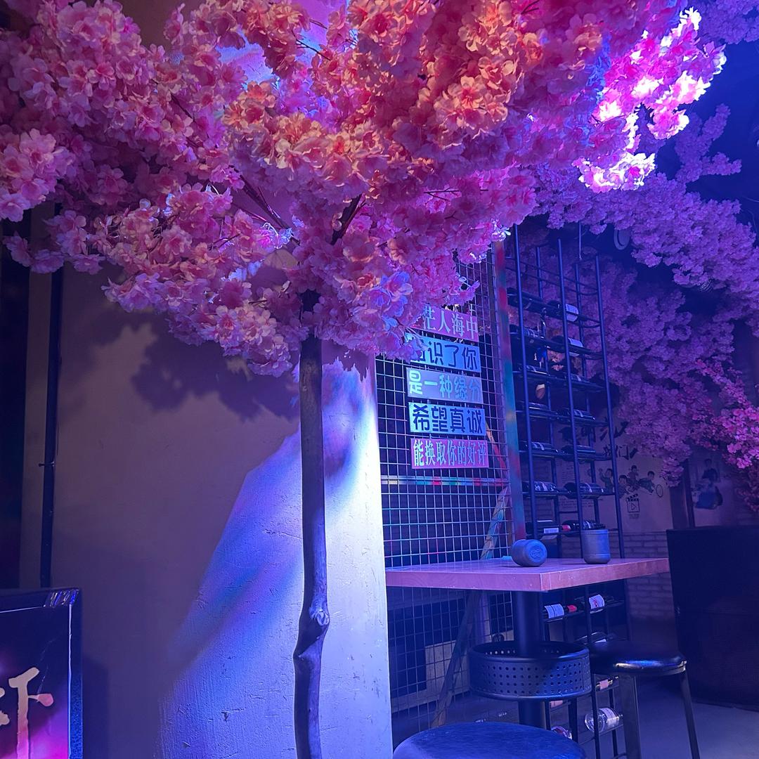 ㅤㅤㅤㅤㅤㅤㅤㅤ至臻