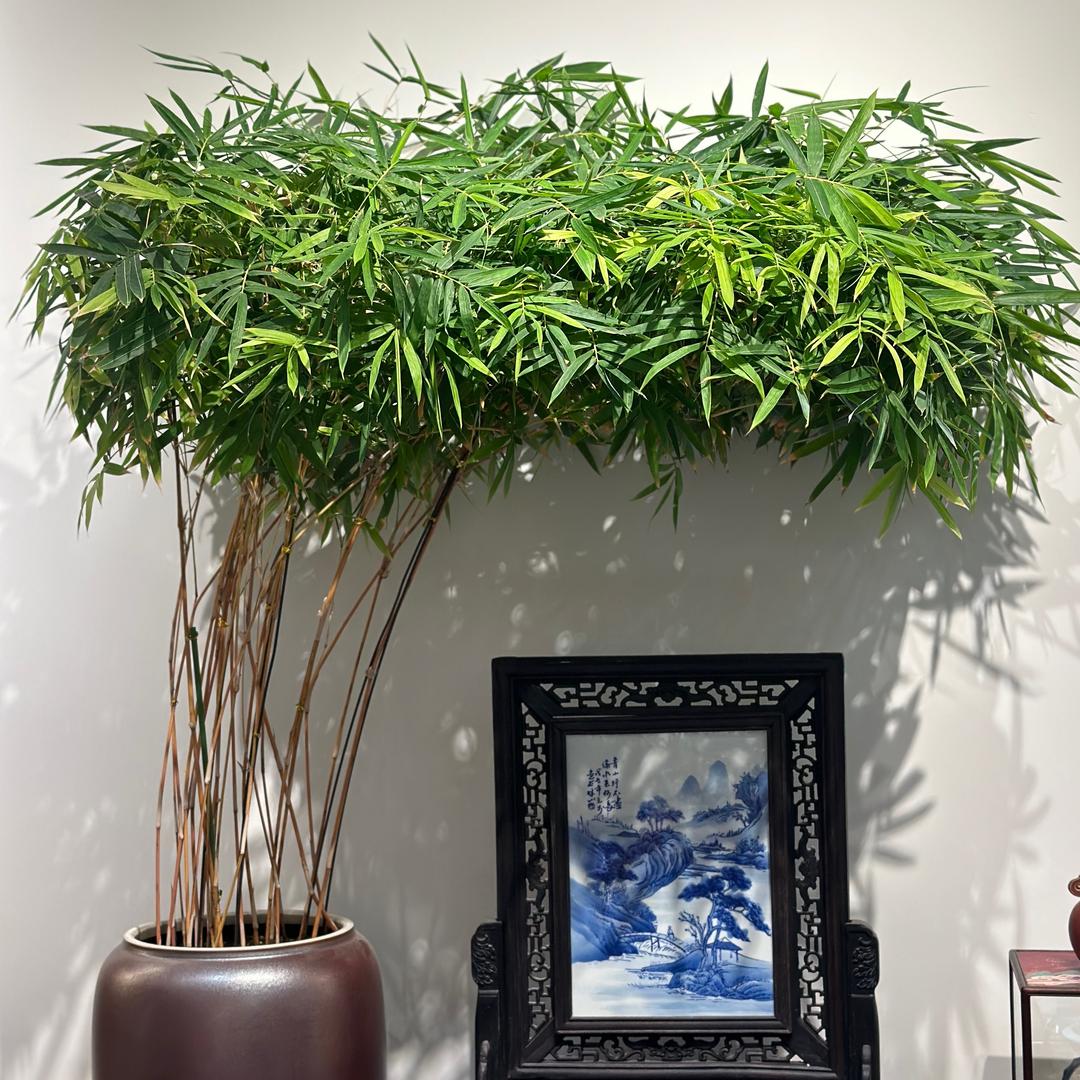 源香雅集