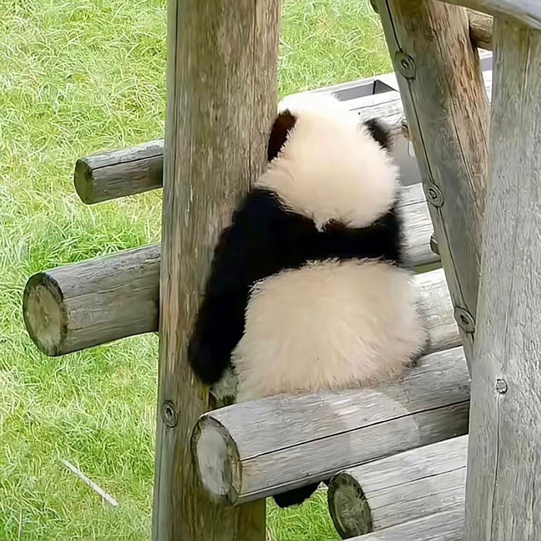 a'ゞ不将就头像
