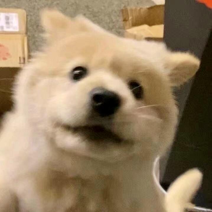 芥末准的吗-w-