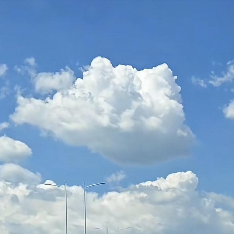 先谋生、再谋爱