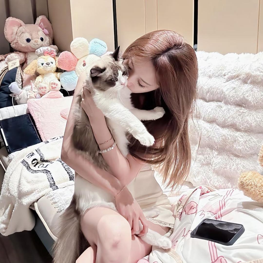 艺伈u🐰