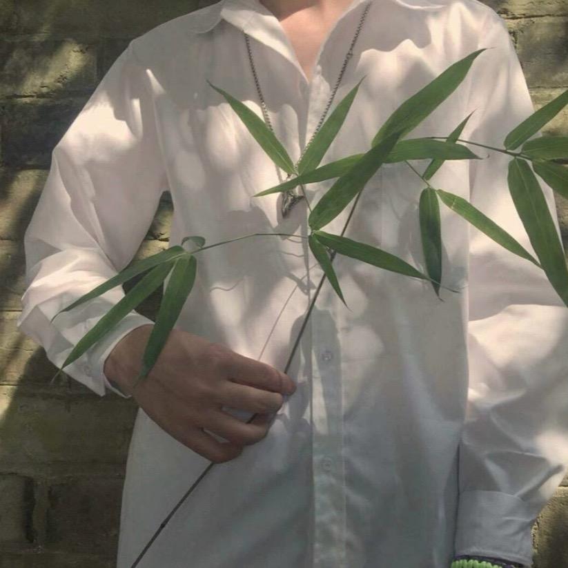 梧桐季里📸（运镜版）