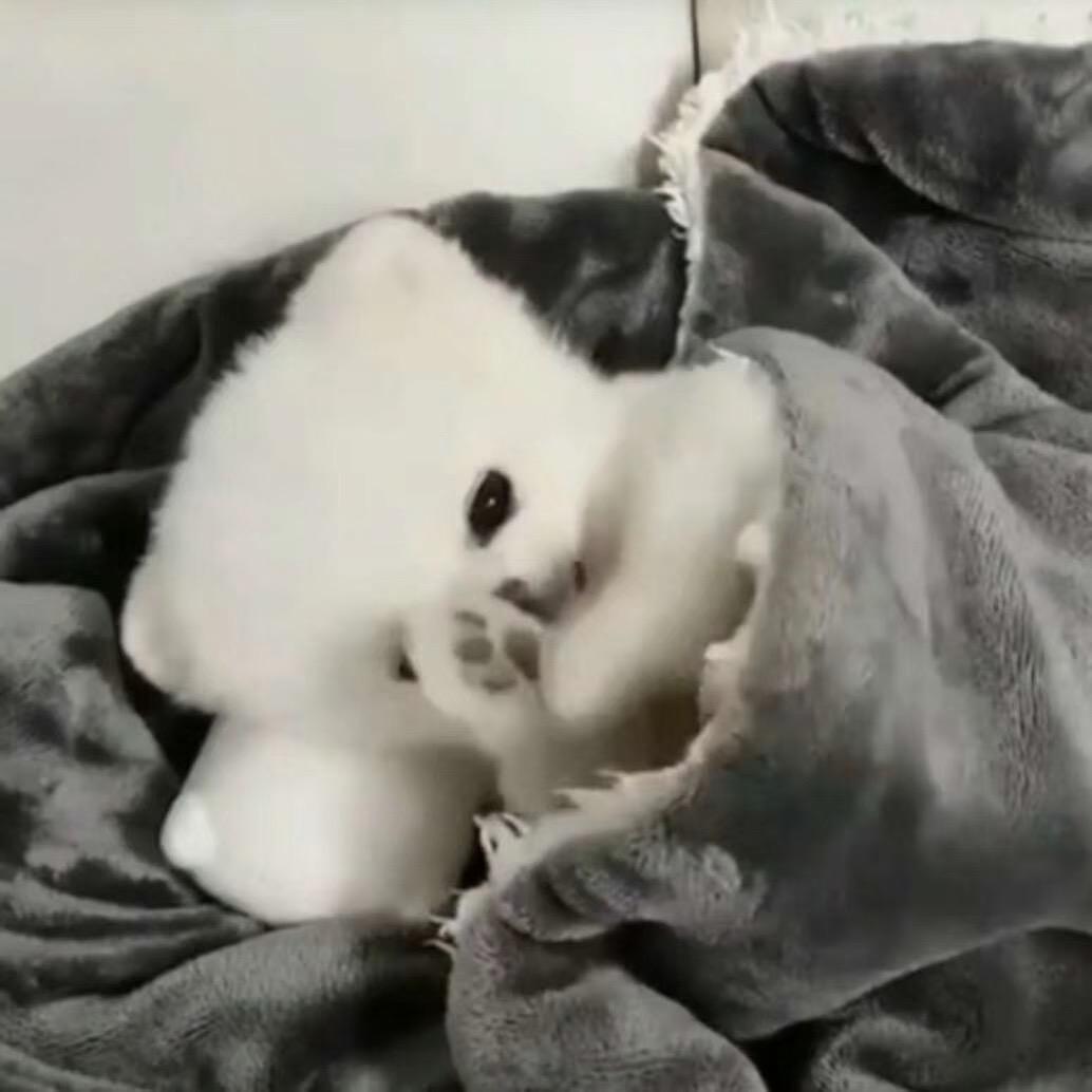 我还没睡醒