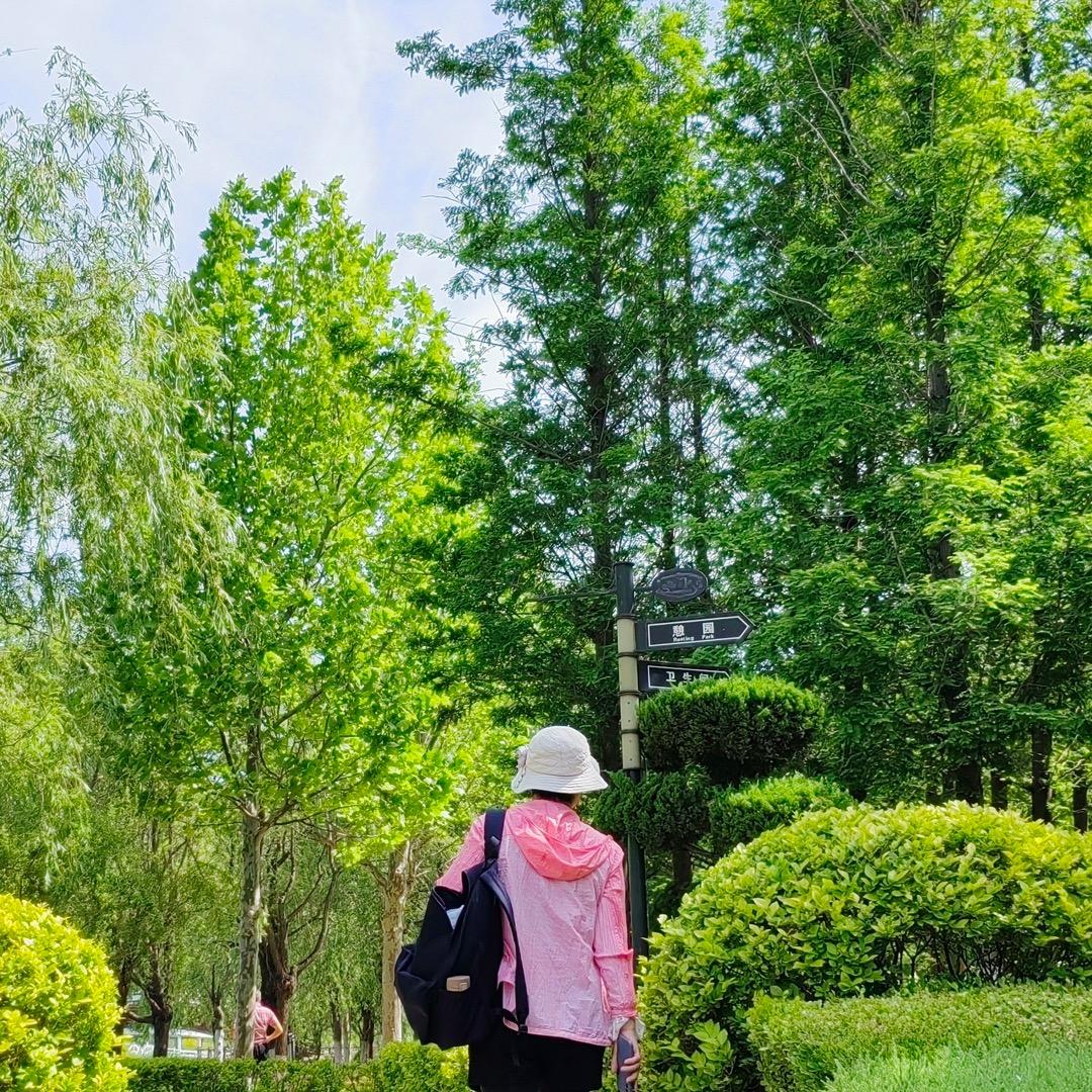 杨杨杨