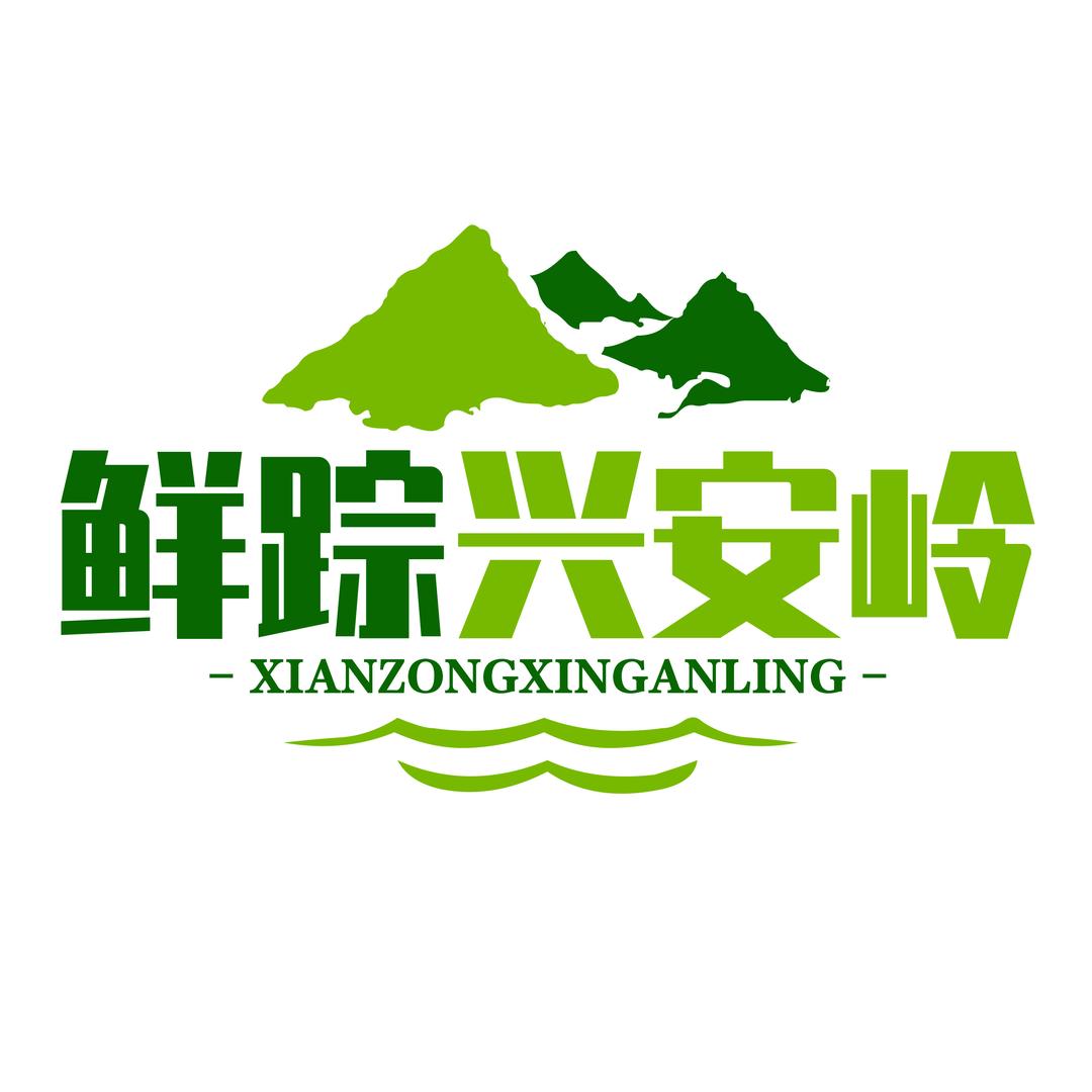 大兴安岭智鲜达特产店