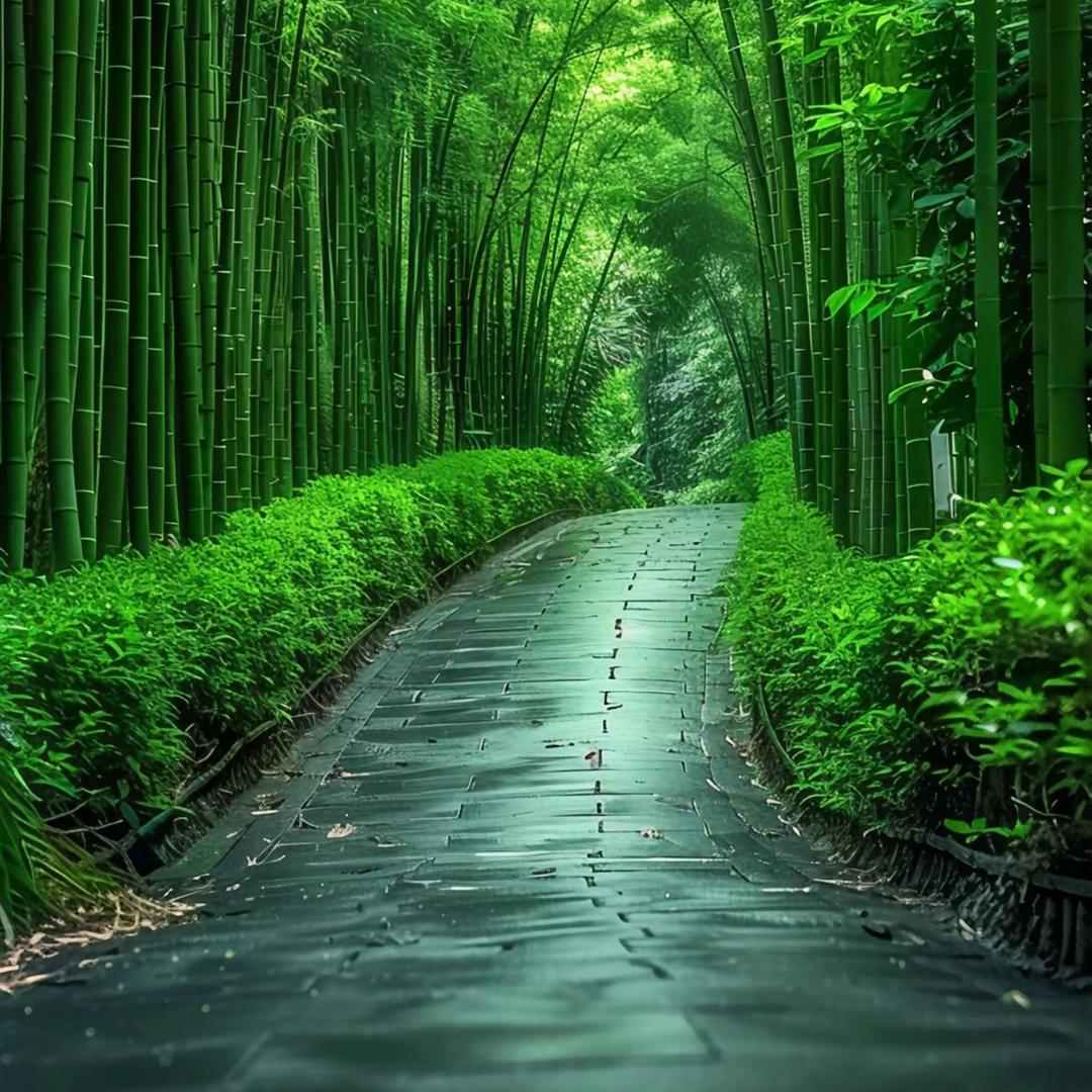 ～乄 夵～