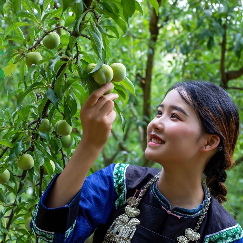 小蝶🍀