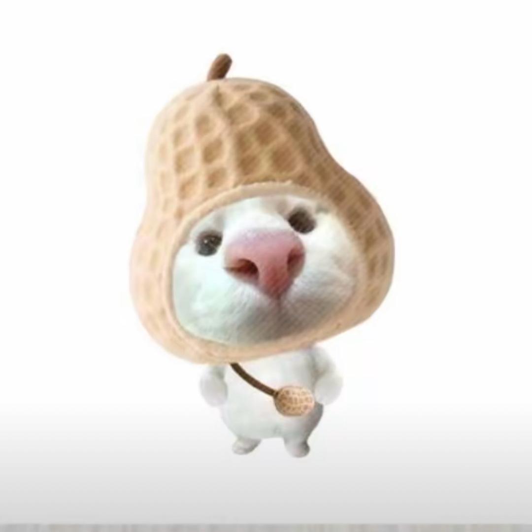 灵汐