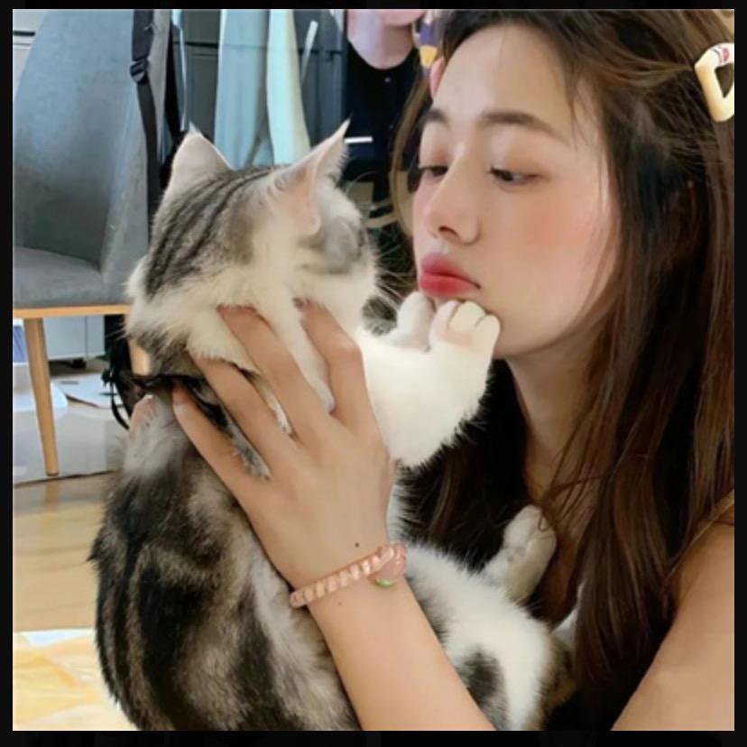 爱情从不后悔
