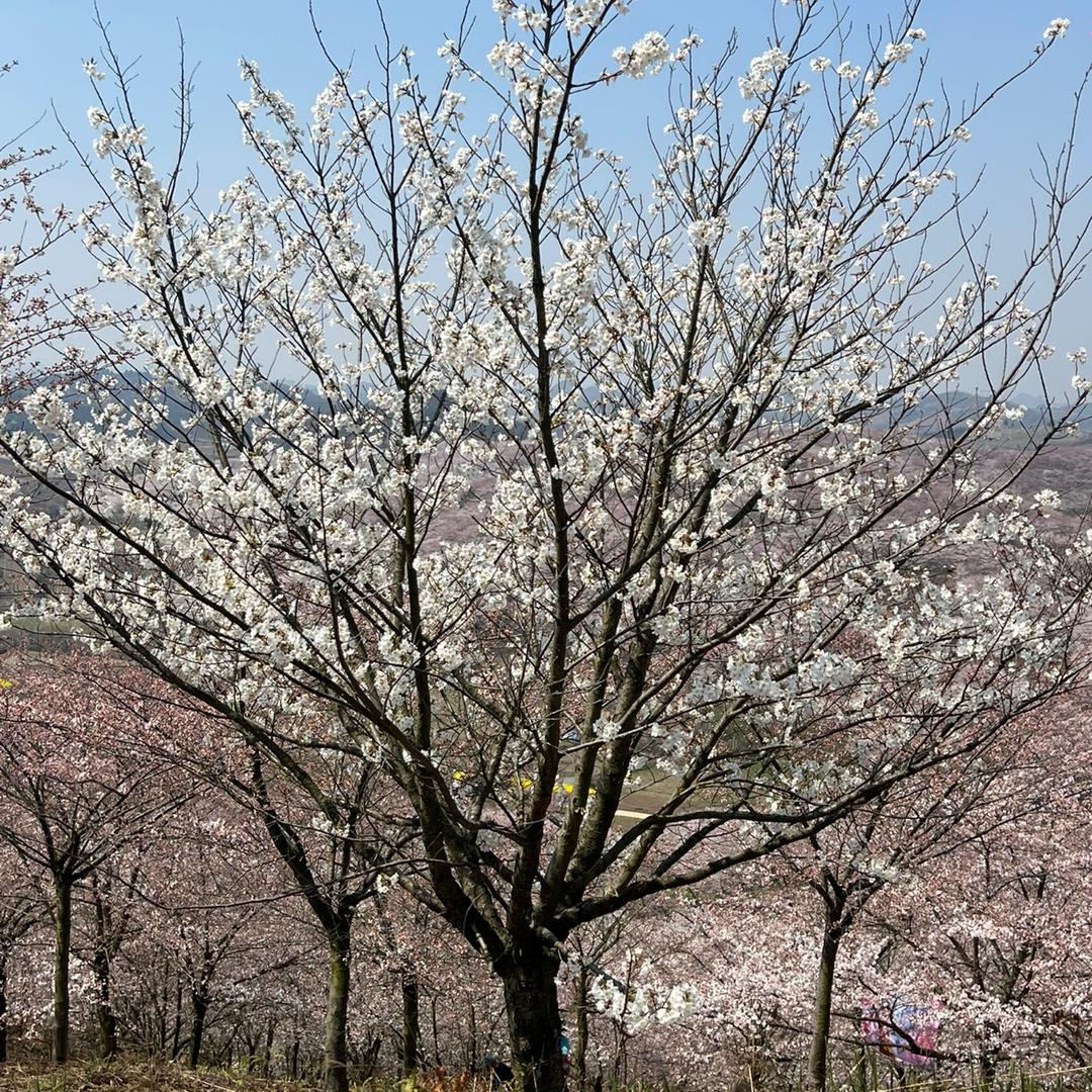 于生只想求🍎财