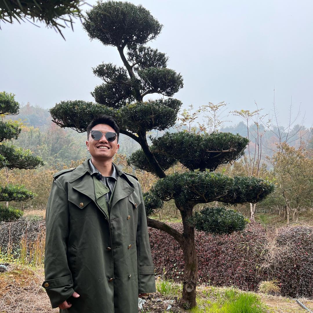 波波的造型树基地