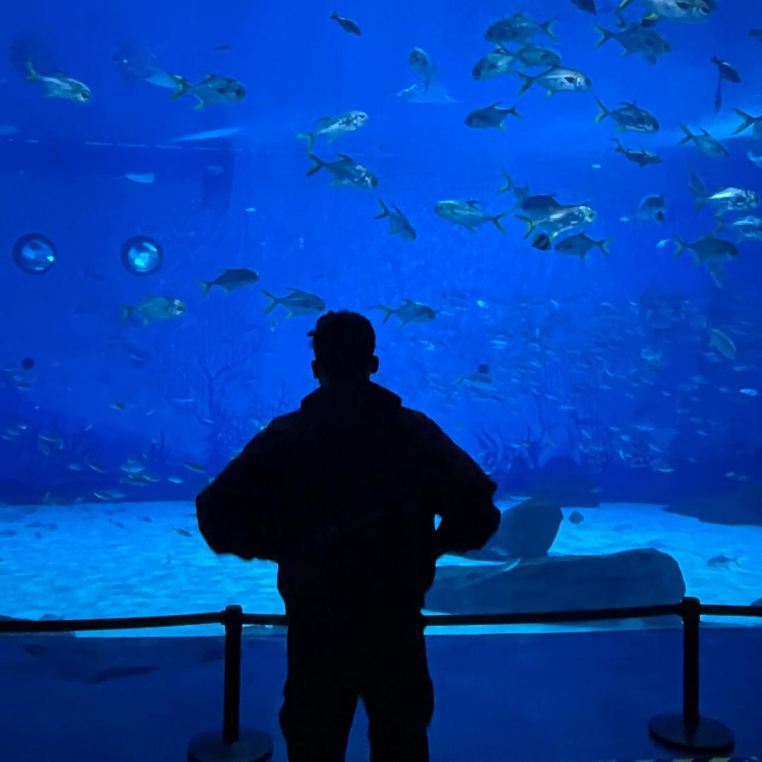 🈶1️⃣说1️⃣