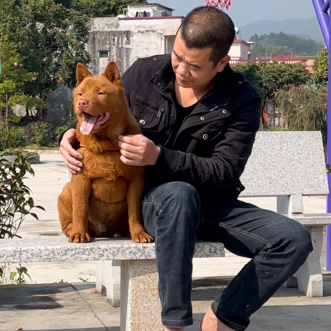广东揭西县潮汕红培养