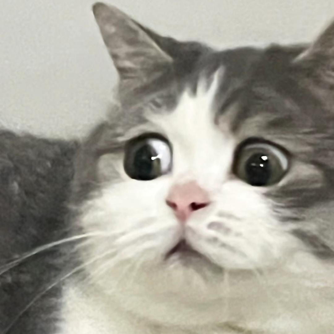 nnnnmkmmm
