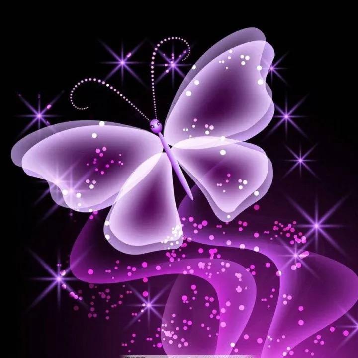 蝴蝶🦋非雾✨