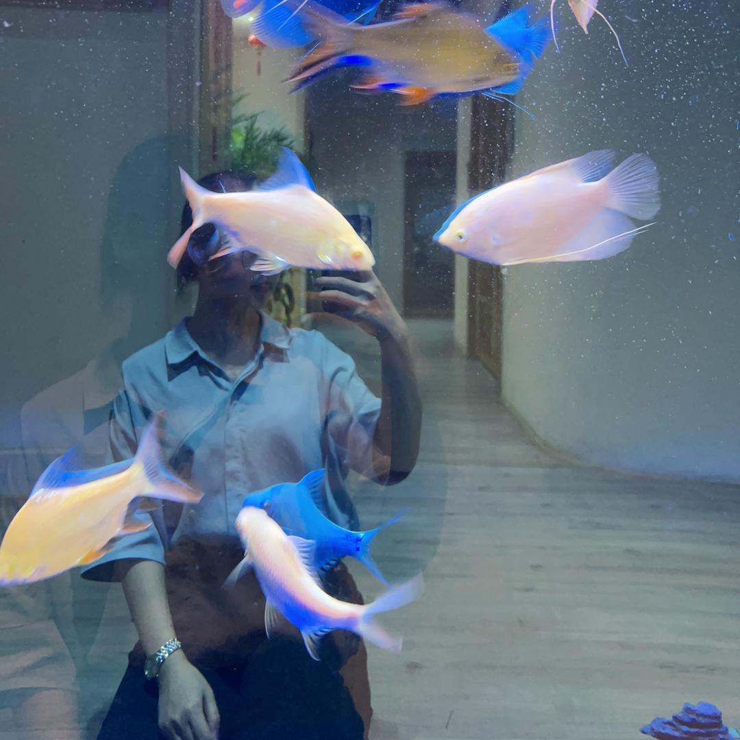 🍬名字要长你就会看到我