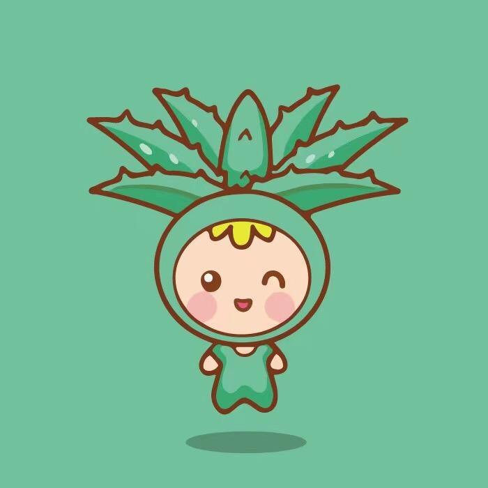 聚美荟专营店