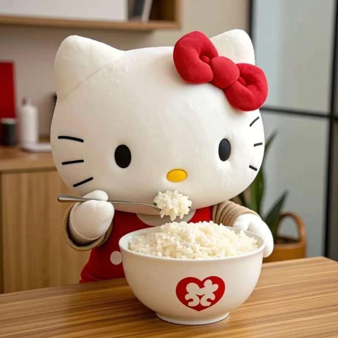 炫两碗米饭