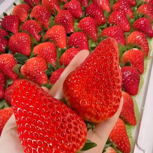 盱眙龙虾洪泽湖大闸蟹