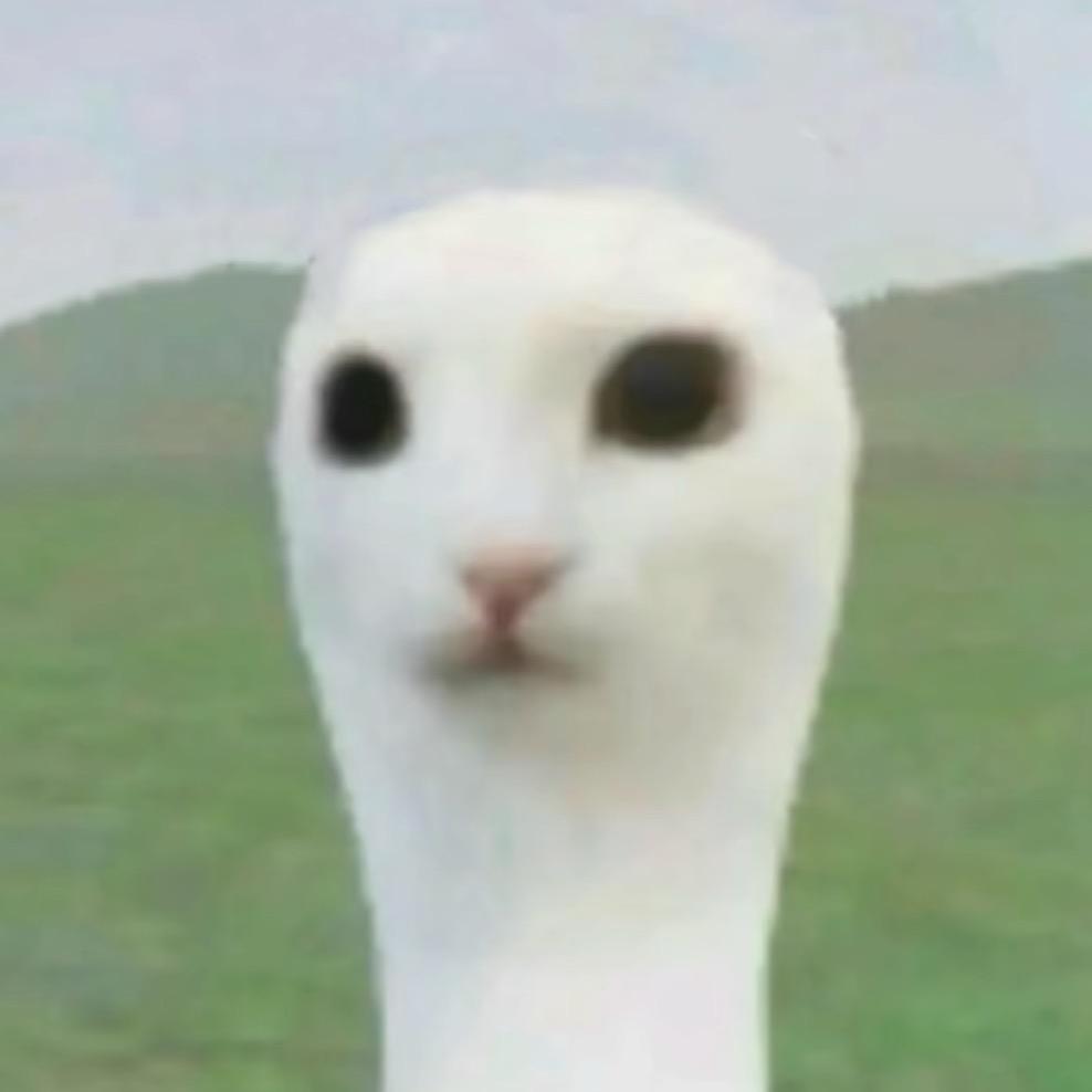 心系
